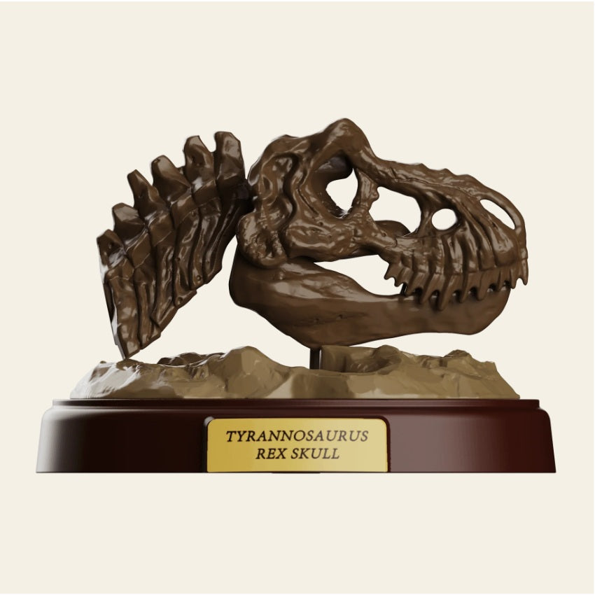 BLOKEES 75642 Jurassic World Terraventure TS 01 Dinosaur Capture Operation Blind Box - Each (1 of 12)