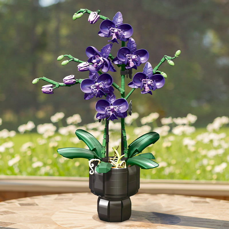 Jiestar JJ9235 Butterfly Orchid