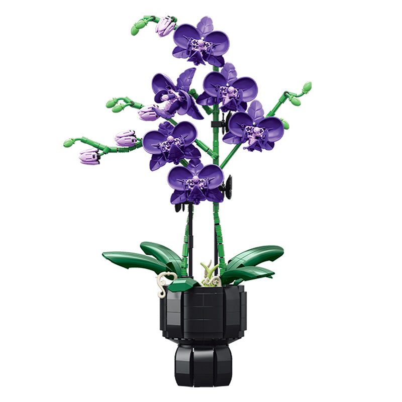 Jiestar JJ9235 Butterfly Orchid
