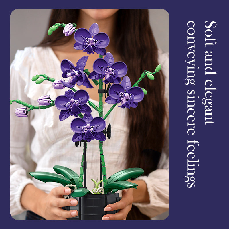 Jiestar JJ9235 Butterfly Orchid