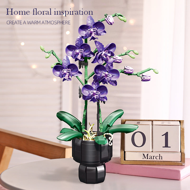 Jiestar JJ9235 Butterfly Orchid