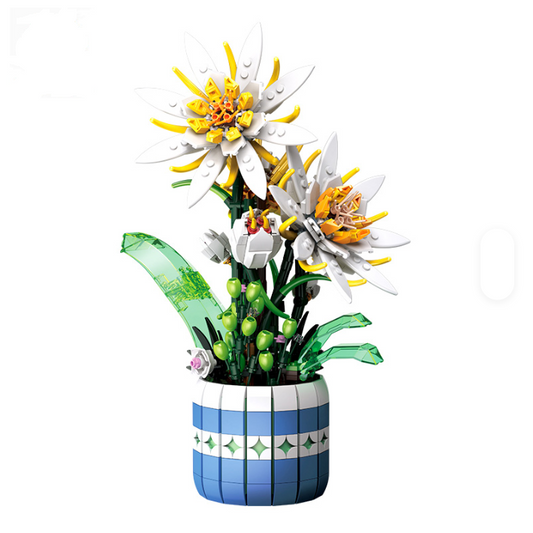 Jiestar JJ9033 Epiphyllum Bonsai