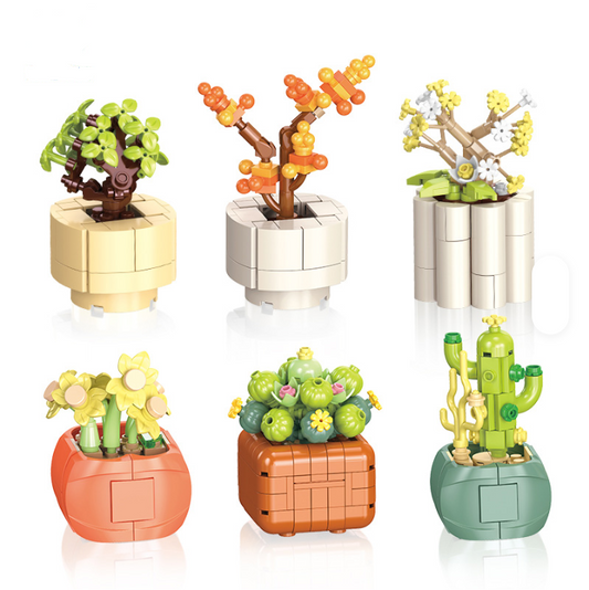 Jiestar JJ9080 Bonsai Diary Leisure Time